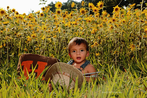 Baby in the field
