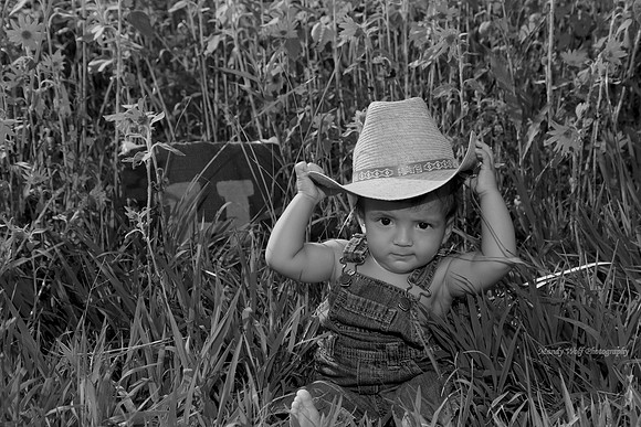 Farm boy